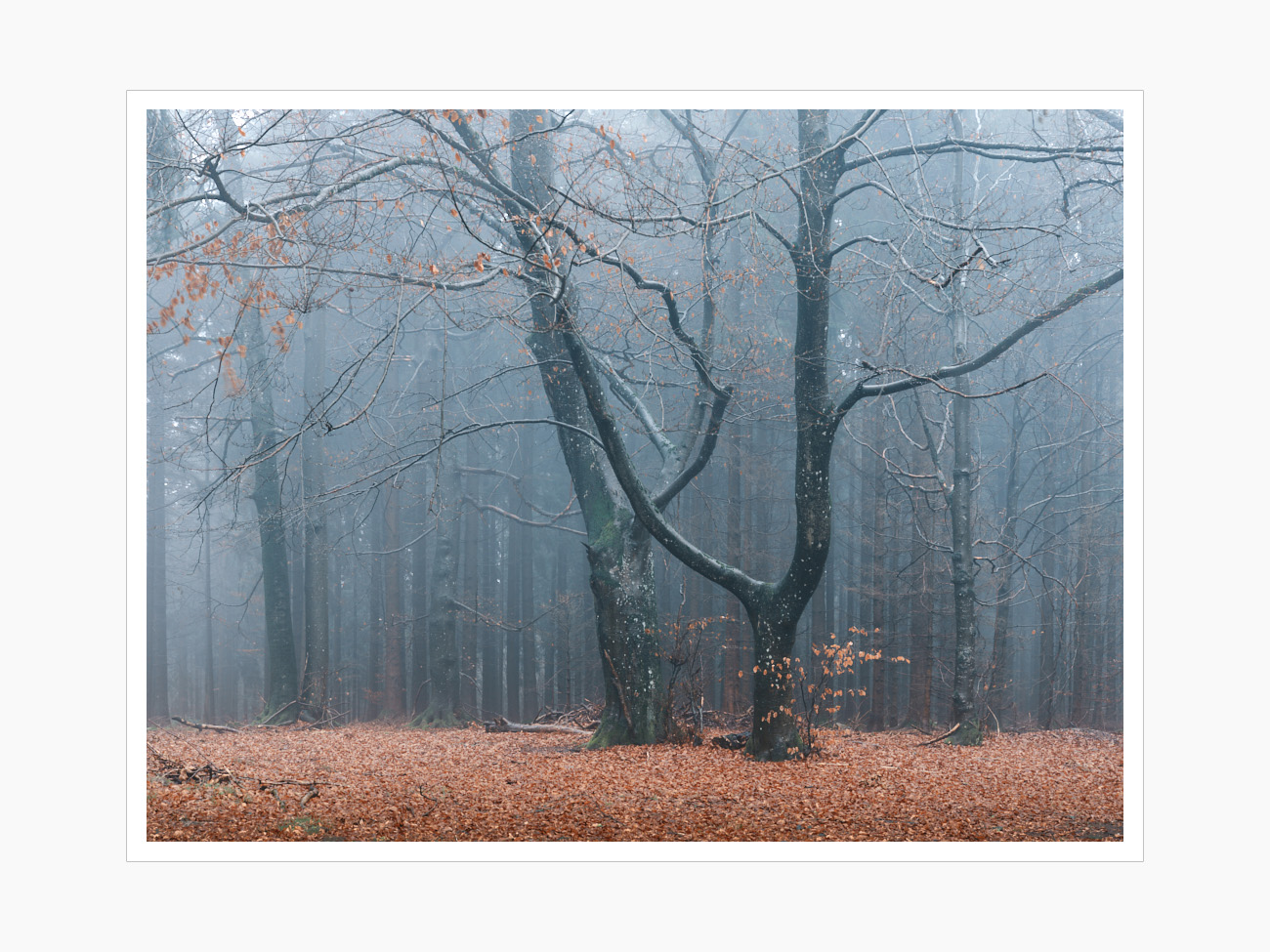 Max Schiefele Alle Bilder  DSF3863